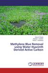 Methylene Blue Dye Removal Using Water Hyacinth Derived Active Carbon Embedded with Cobalt Nanoparticles